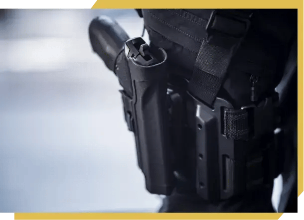 Armed Security v2